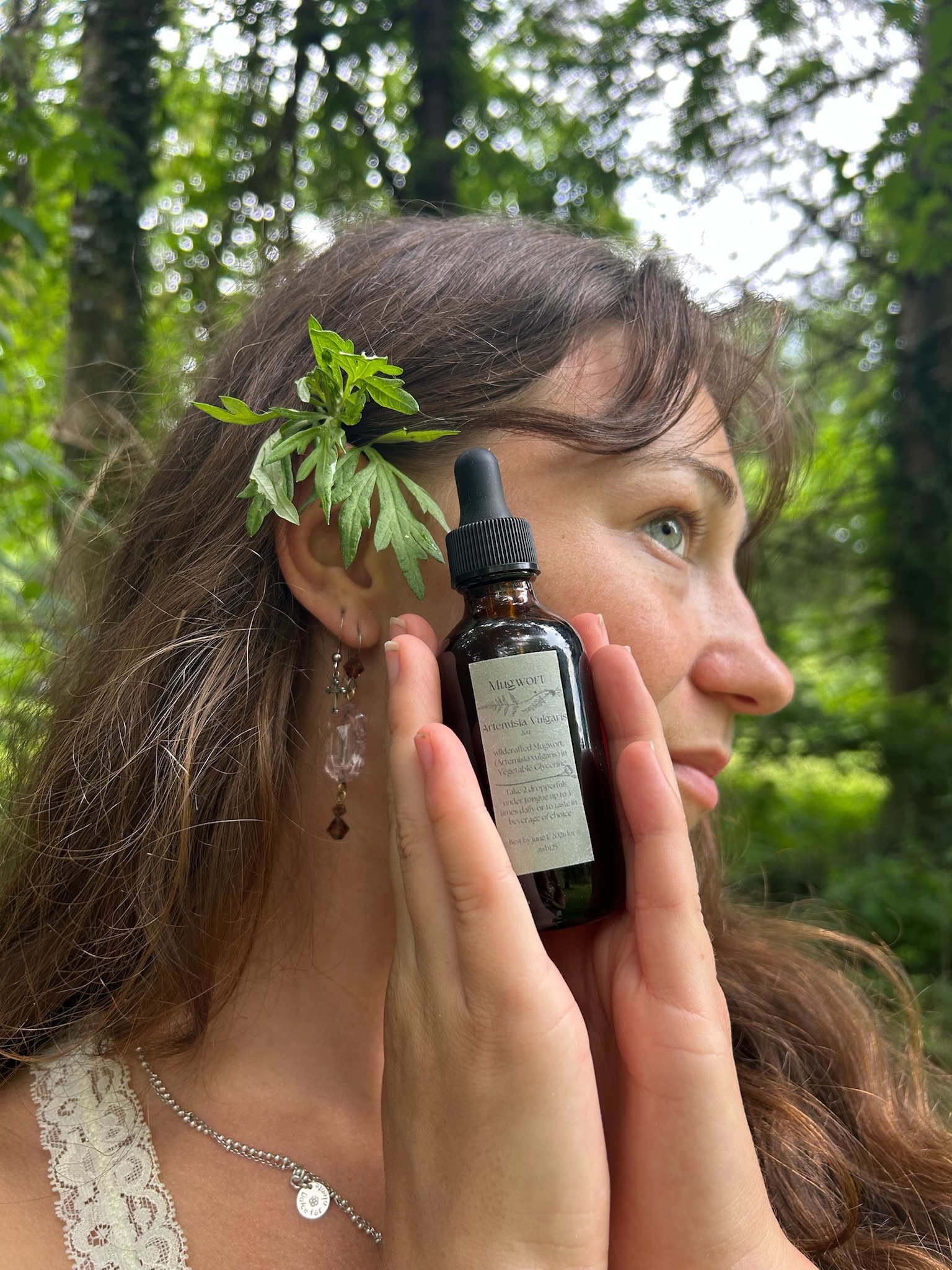 Mugwort Glycerin